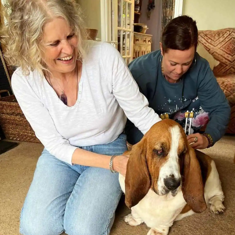 Even calms our anxious dog